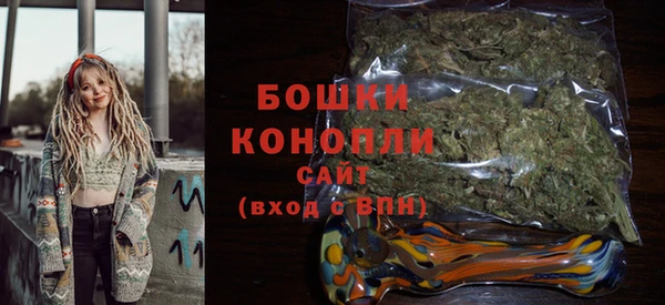 стаф Костерёво