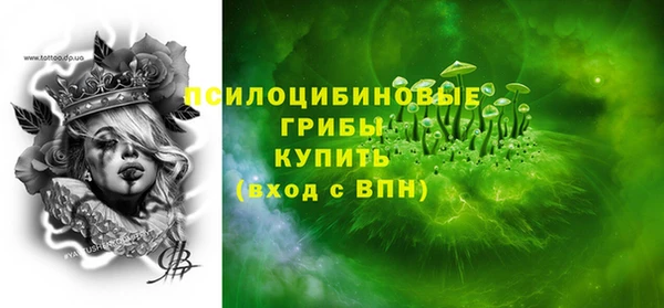 стаф Костерёво