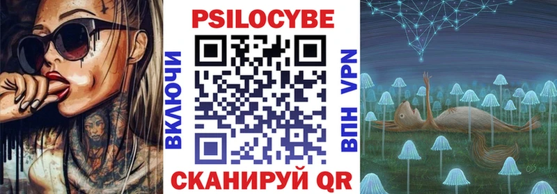 Псилоцибиновые грибы Cubensis  Бердск 